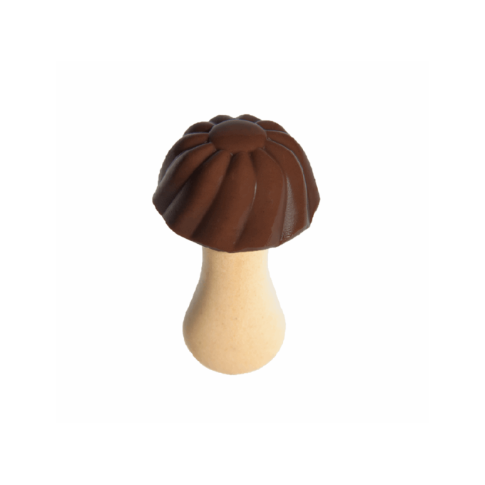 champignon chocolat par 100g