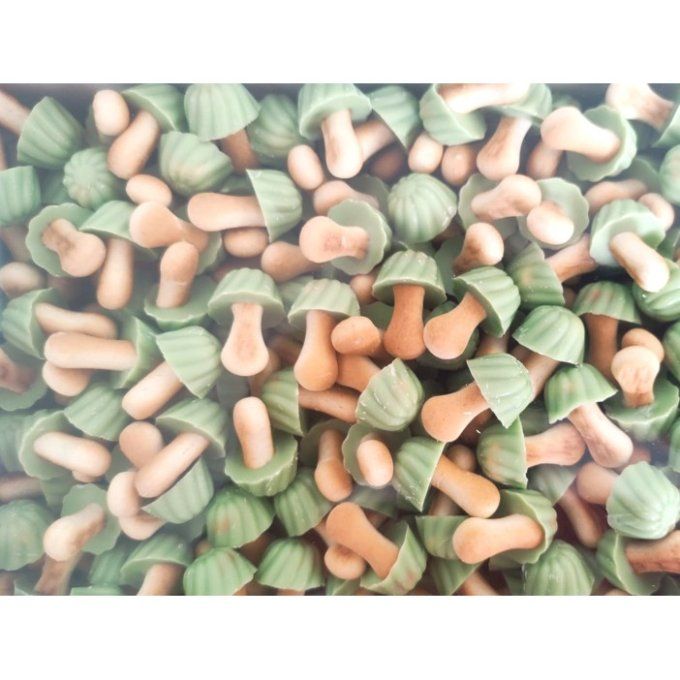 champignon d'espagne pistache vendu par 100g